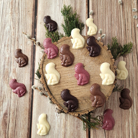 Les écureuils - FAYS terroir chocolaté