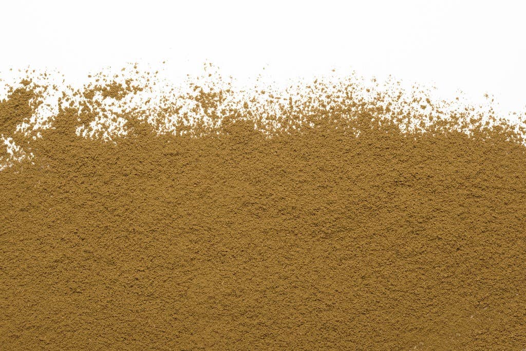 Hojicha Latté en poudre biologique (boîte de 40 g)